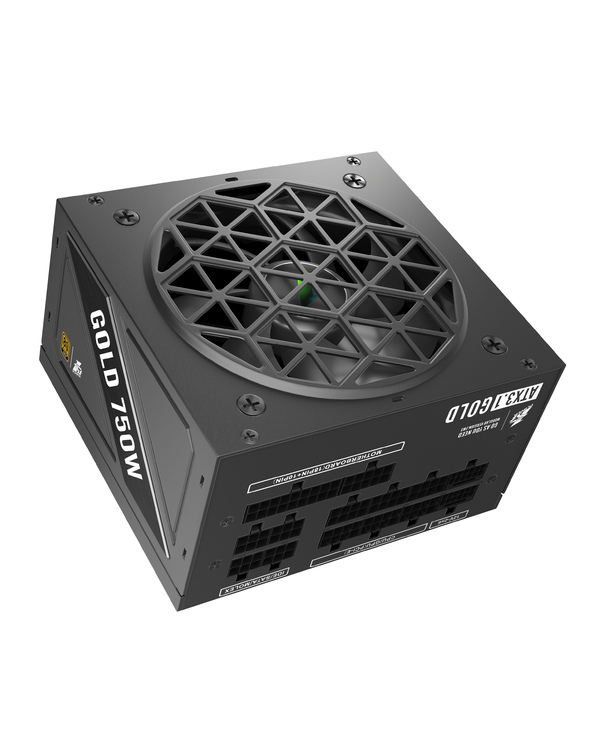 NGDP-GLD-750-BK-EU