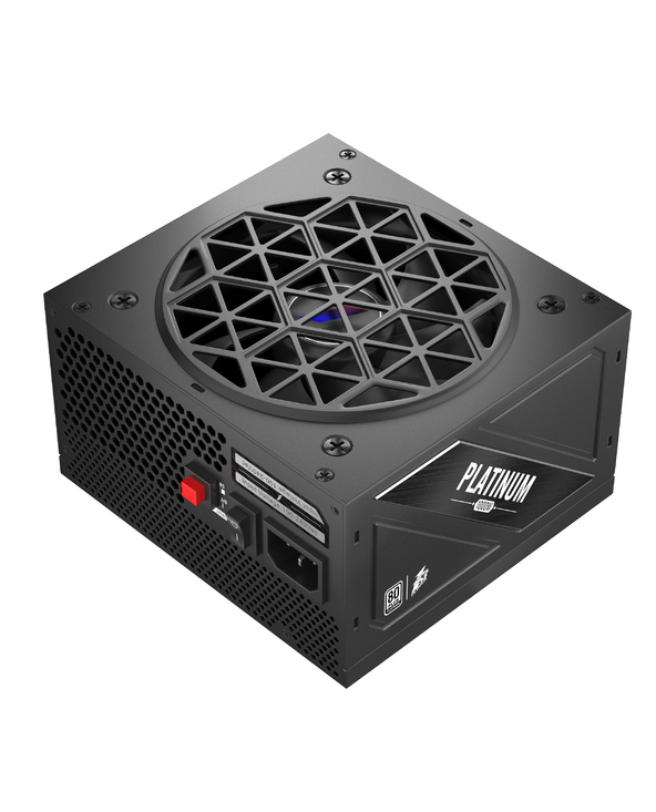 NGDP-PLT-1000-BK-EU