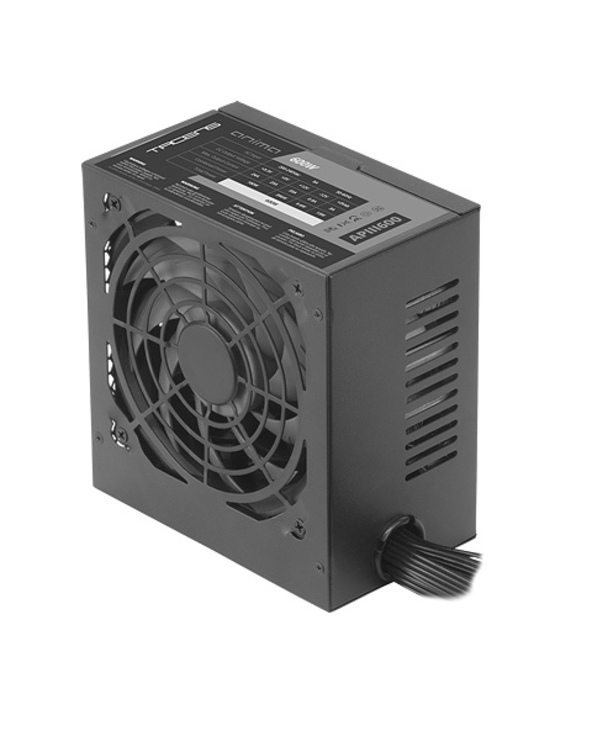APIII600