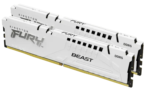 Kingston FURY Beast