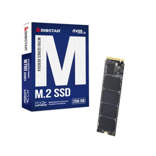Biostar M760
