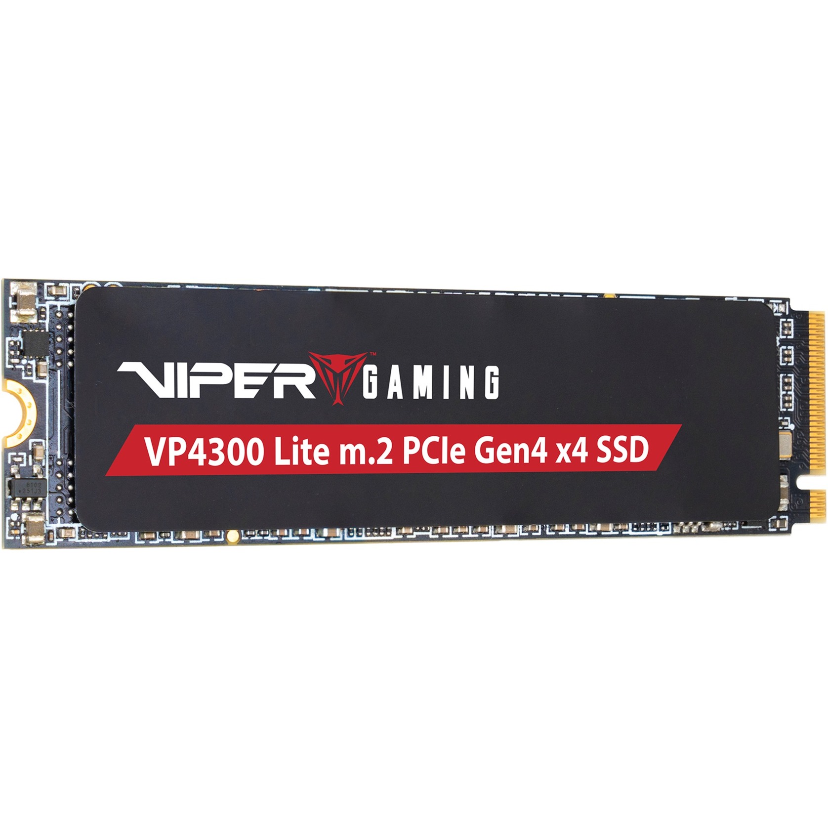 VP4300 Lite1 TB